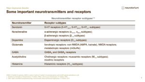 Major Depressive Disorder - Neurobiology and Aetiology - slide 13